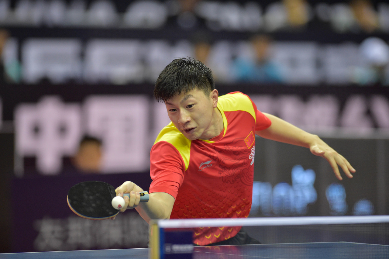 不仅培养了 不仅培养了